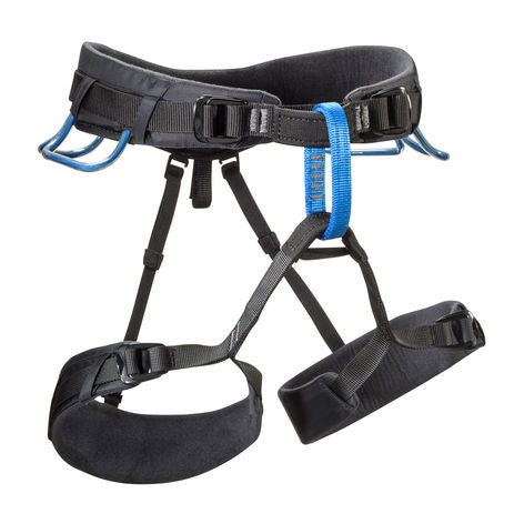 Momentum DS Harness
